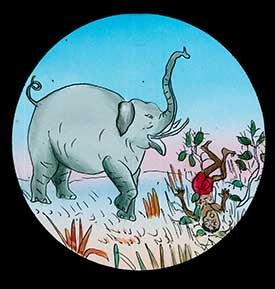 Elephants Revenge Slide