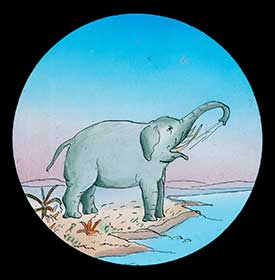 Elephants Revenge Slide