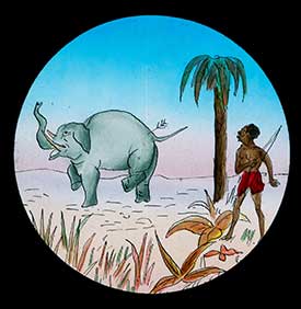 Elephants Revenge Slide