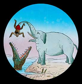 Elephants Revenge Slide