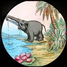 Elephants Revenge Slide