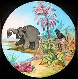 Elephants Revenge Slide