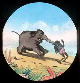 Elephants Revenge Slide