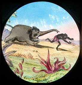 Elephants Revenge Slide