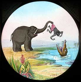 Elephants Revenge Slide