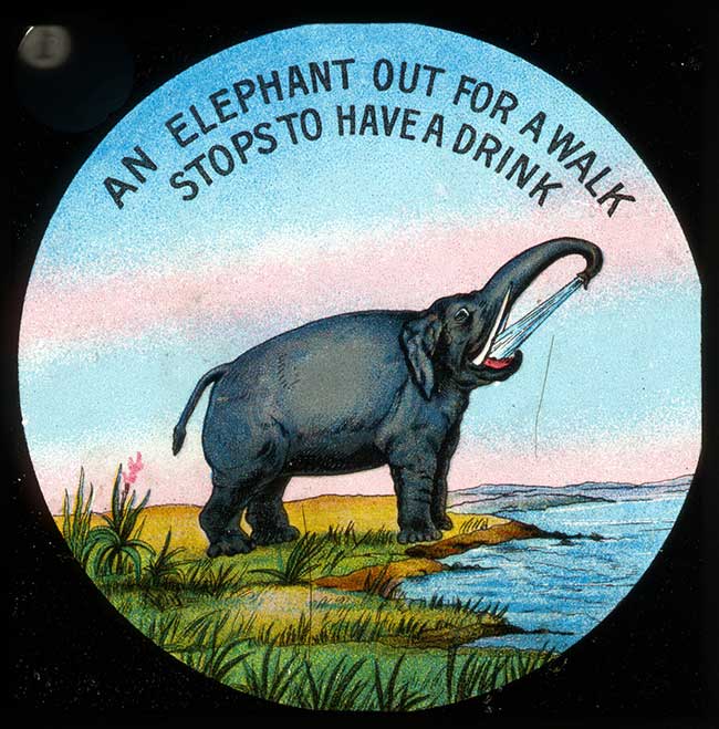 The Elephants Revenge