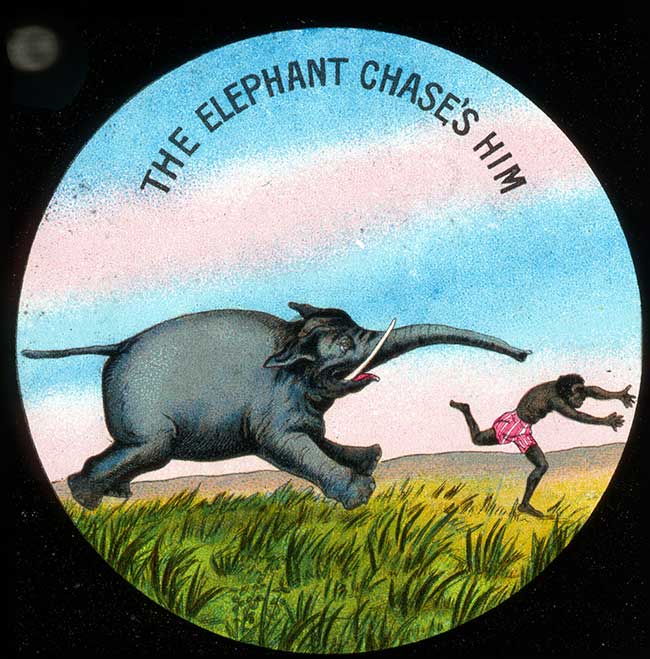The Elephants Revenge