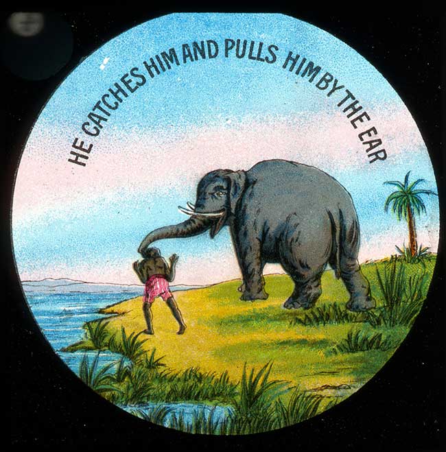 The Elephants Revenge