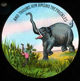 Elephants Revenge Slide