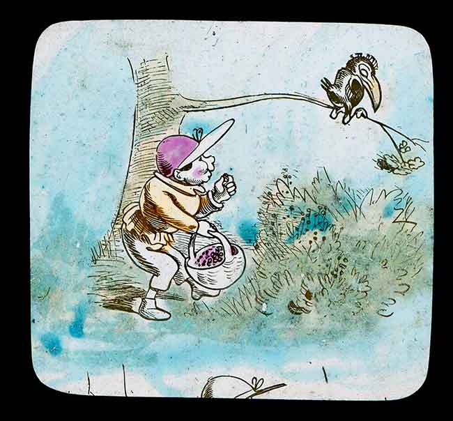 Hookey Beak Slide