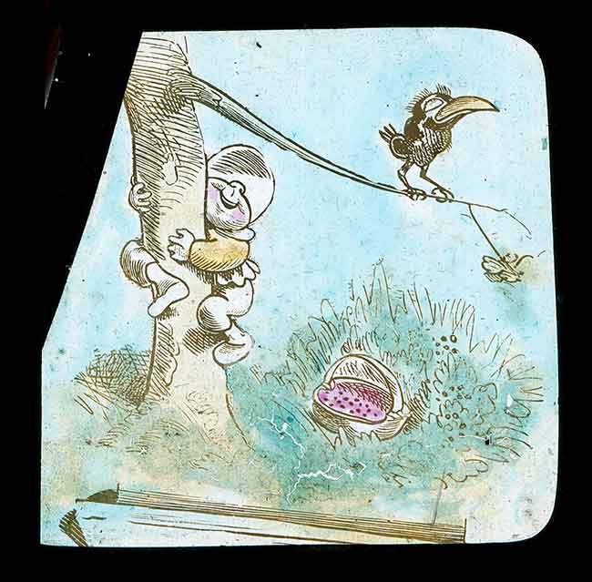 Hookey Beak Slide