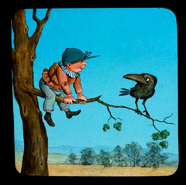 Hookey Beak Slide