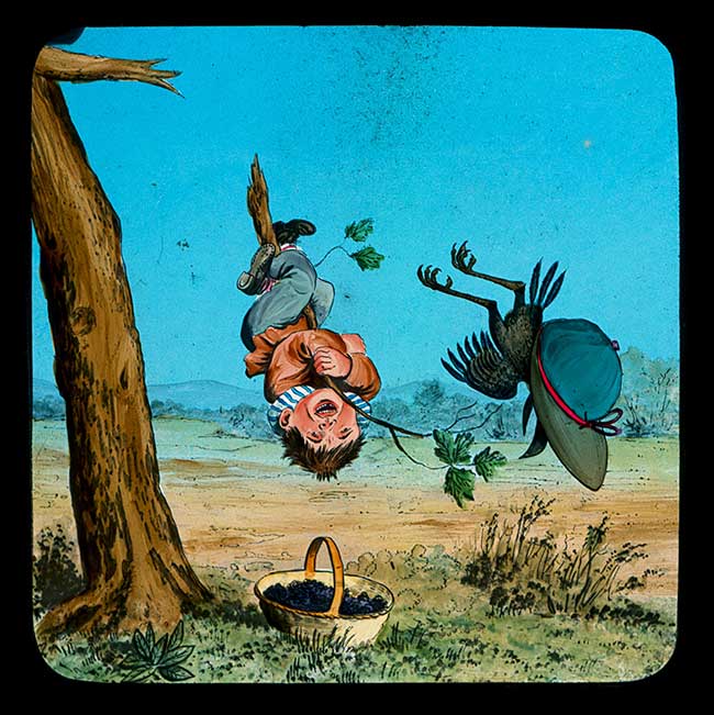 Hookey Beak Slide