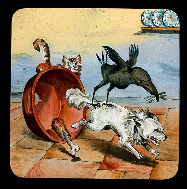 Hookey Beak Slide