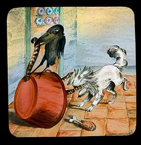Hookey Beak Slide