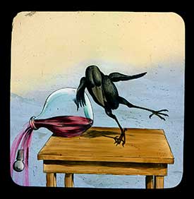 Hookey Beak Slide