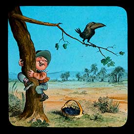 Hookey Beak Slide