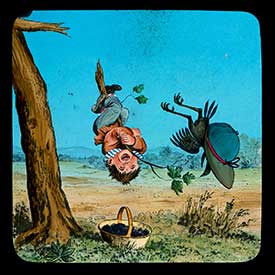 Hookey Beak Slide