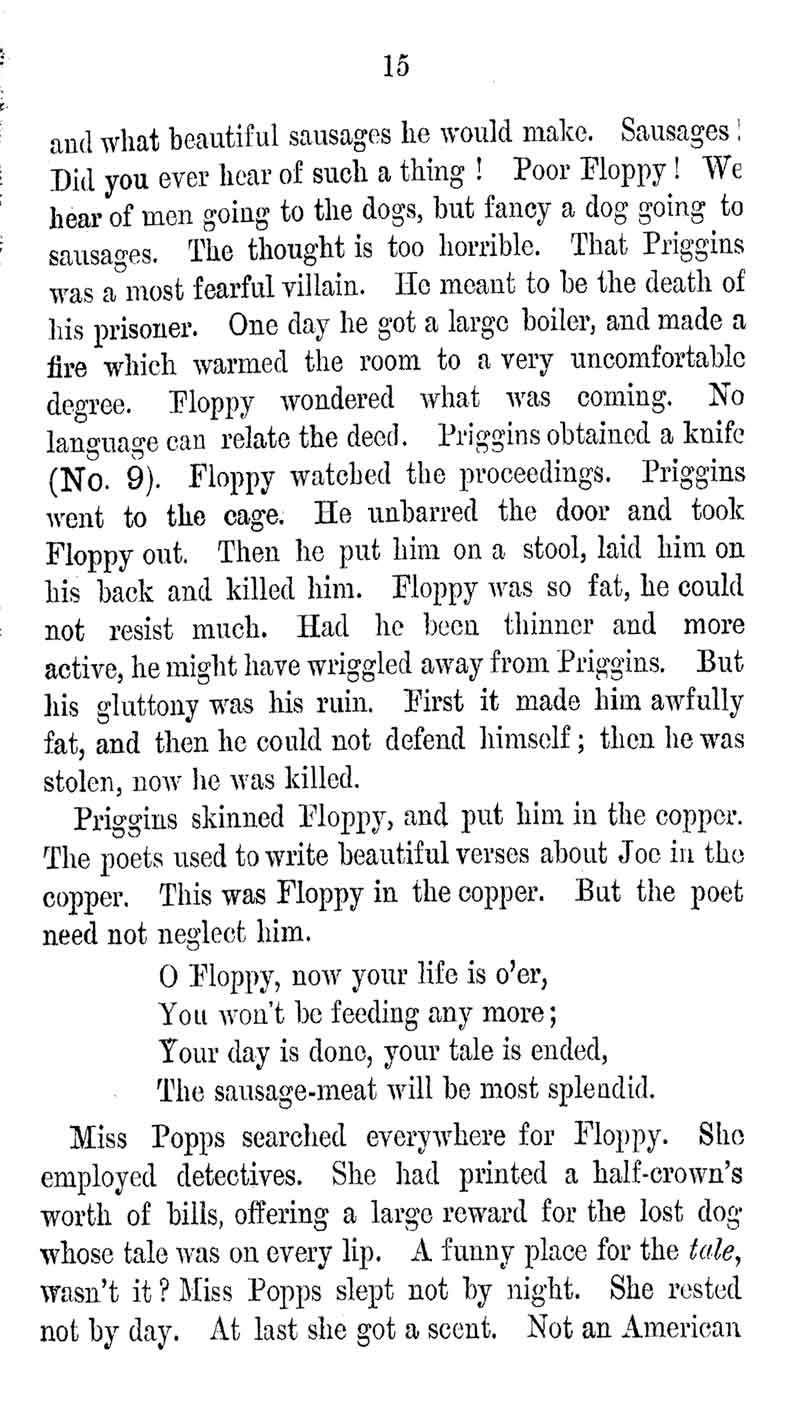 Miss Pops Pet English Reading