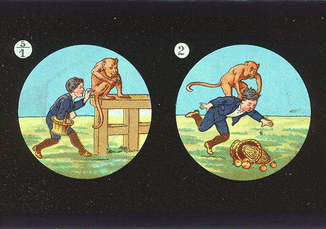 Monkey and Shoemakers Boy