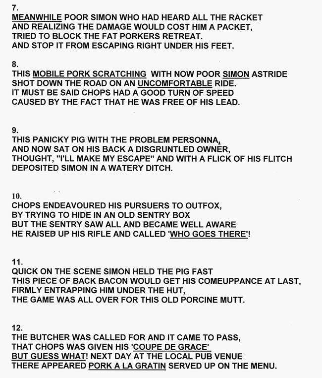 Simon and His Pig Slide