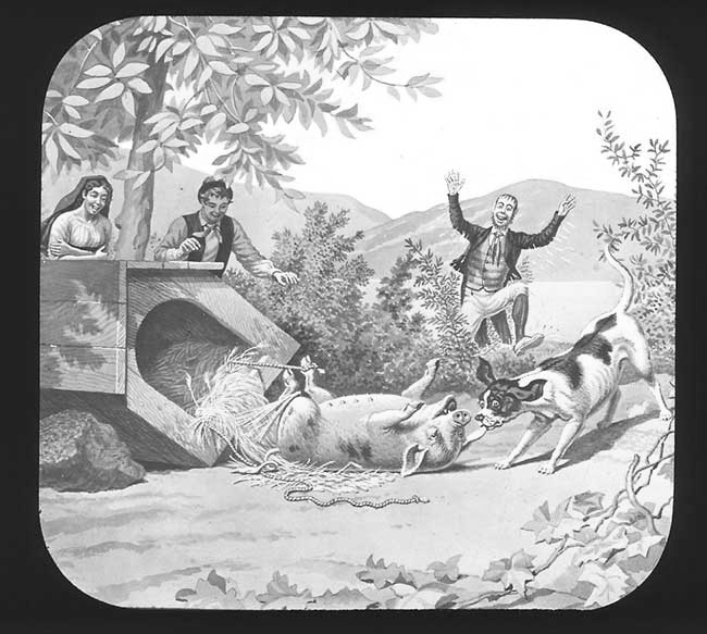 The Elephants Revenge