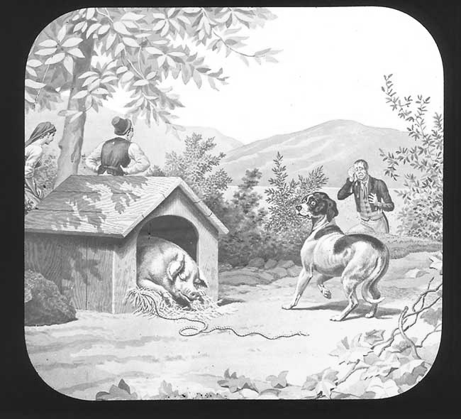 The Elephants Revenge