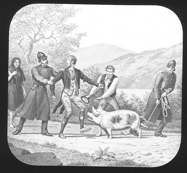 The Elephants Revenge