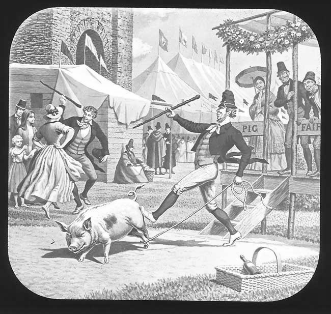 The Elephants Revenge