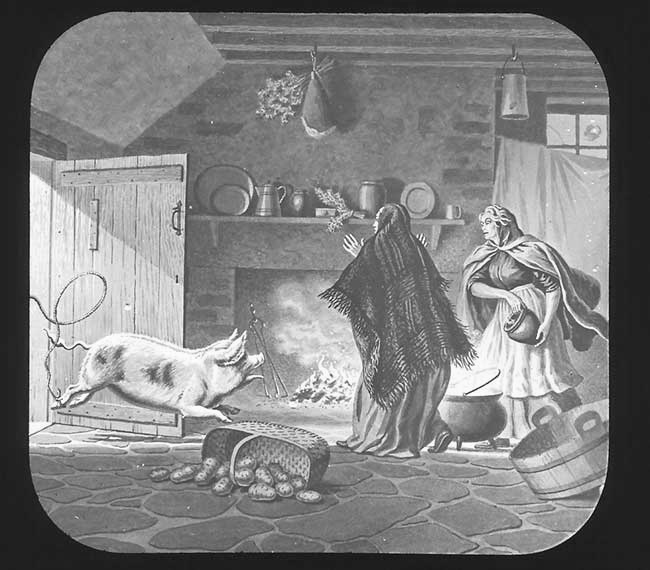 The Elephants Revenge