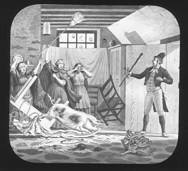 The Elephants Revenge