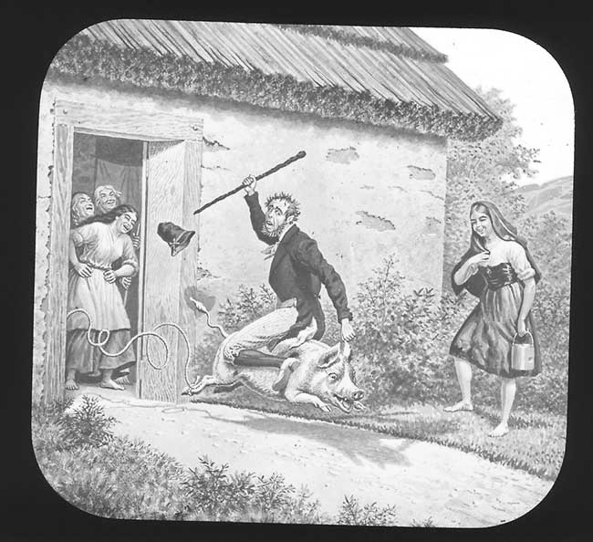 The Elephants Revenge