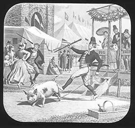 Simon and His Pig Slide