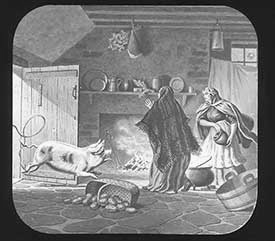 Simon and His Pig Slide